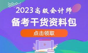 高级会计师资料包