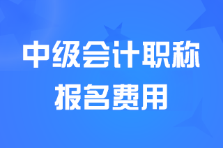 湖北省报考中级会计职称收费标准60元每人每科